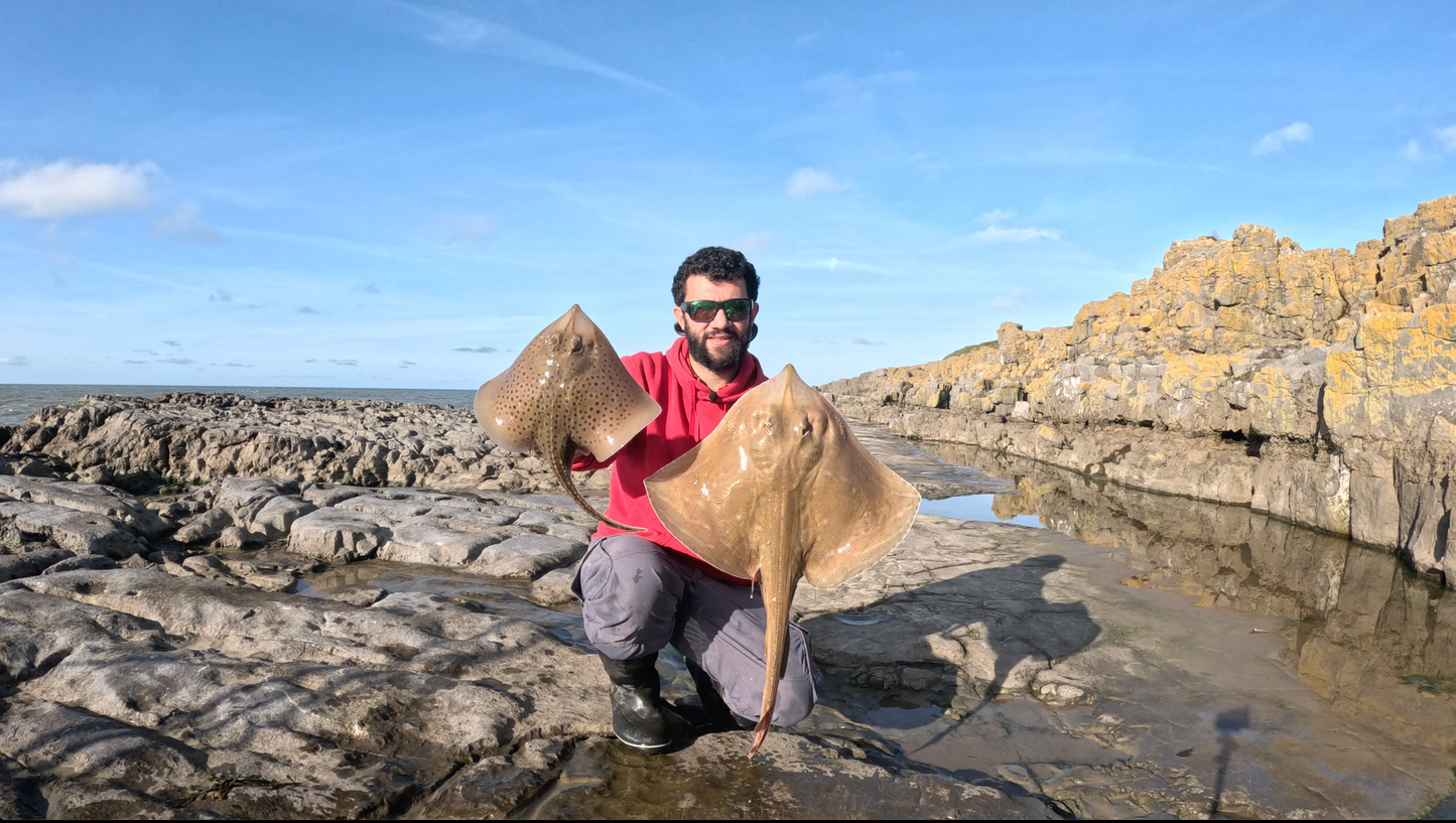 Tuning your fishing skills