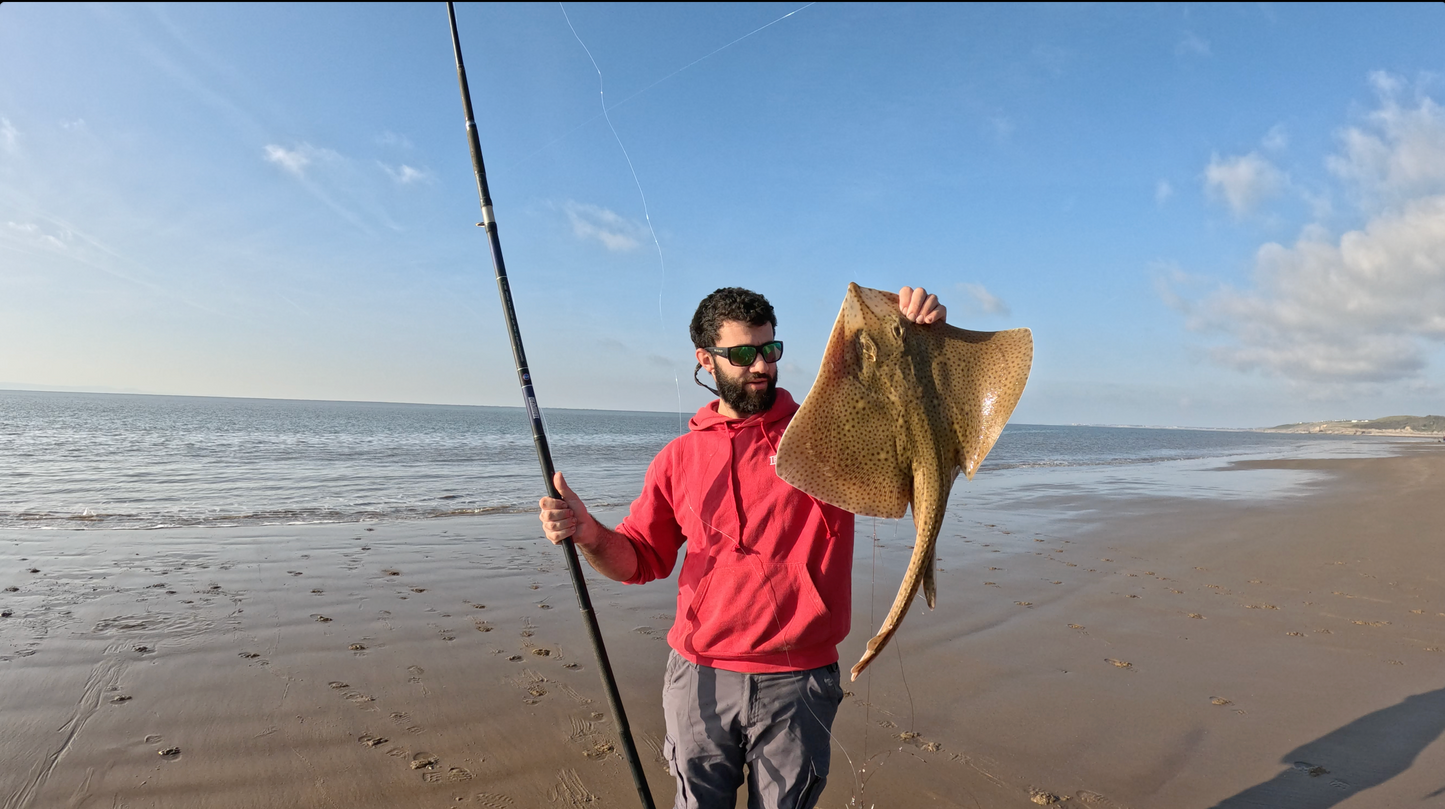 General Beach Fishing South Wales