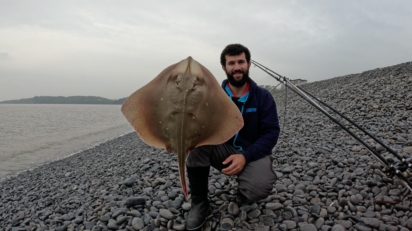 General Beach Fishing South Wales