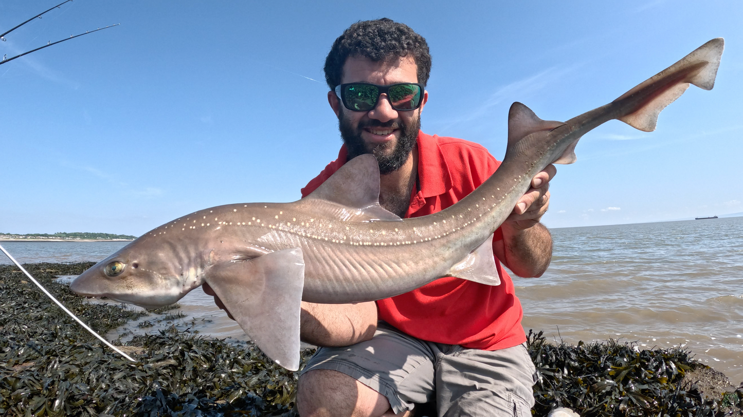 General Beach Fishing South Wales