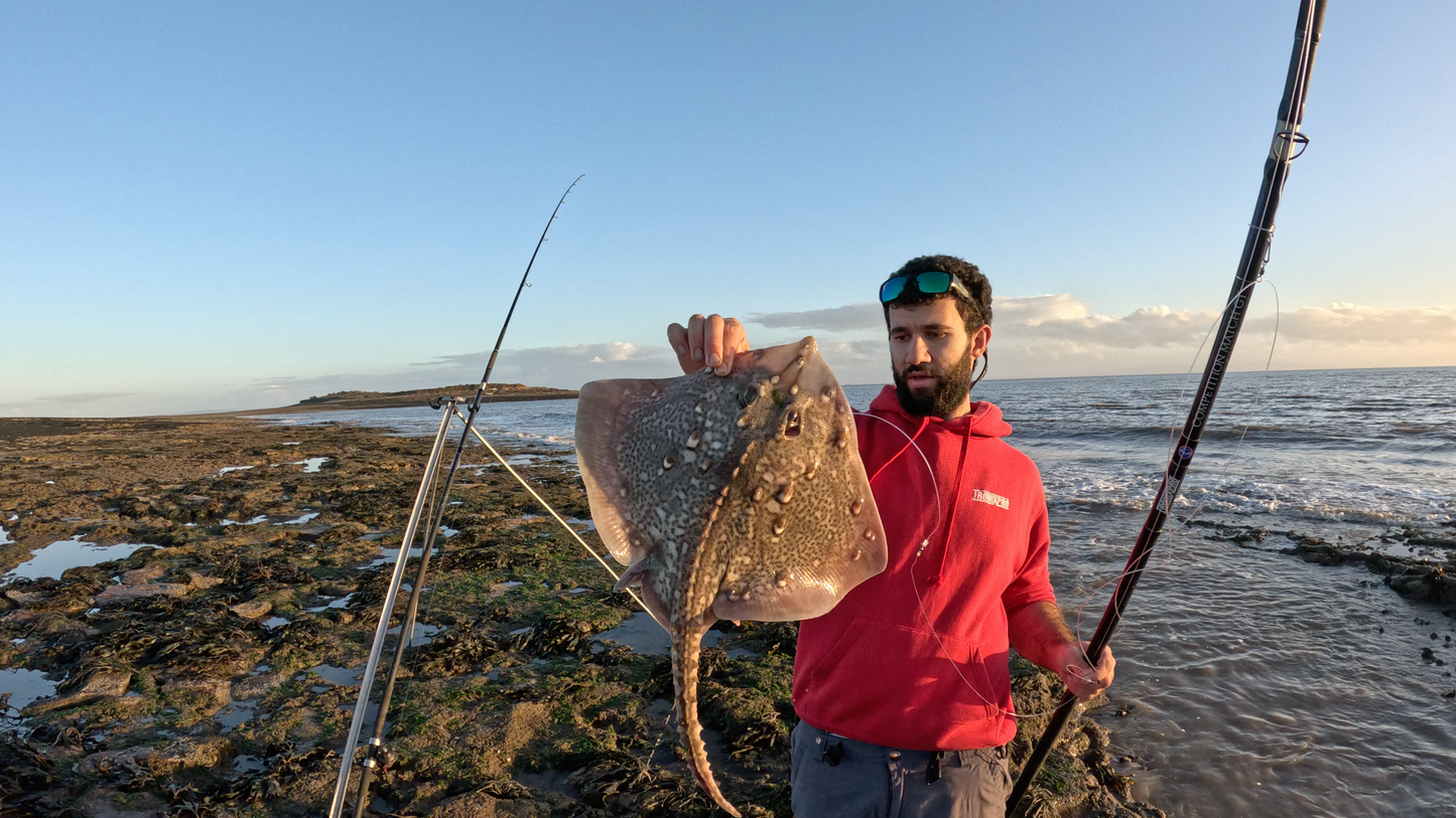 Tuning your fishing skills