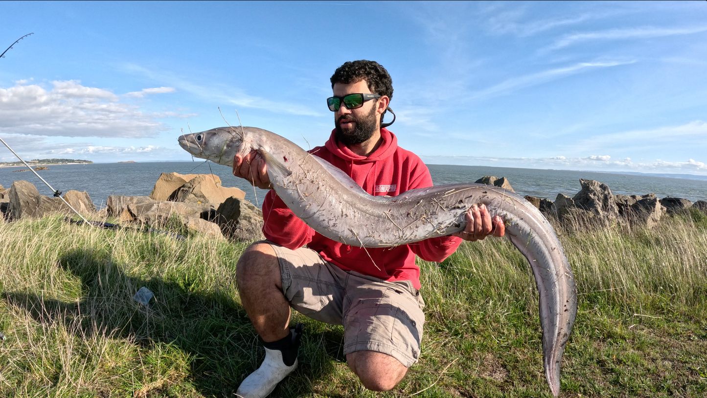 General Beach Fishing South Wales