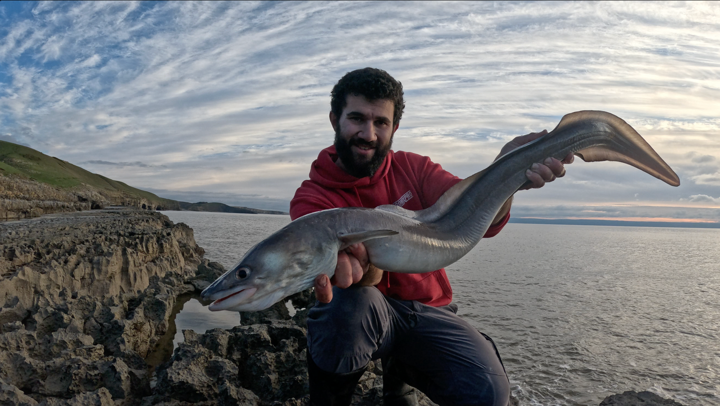 General Beach Fishing South Wales